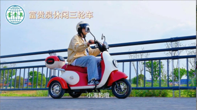 叮咚！请查收您的出游车搭子——富贵小海豹